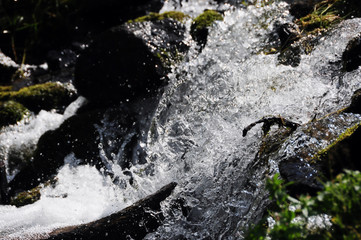 Running glacier water over black rocks: Cold glacier water running and splashing over black rocks and green moss in Stepantsminda, Georgia.