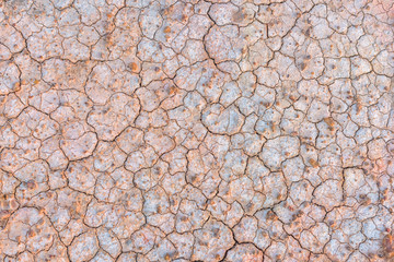 Crack soil texture background