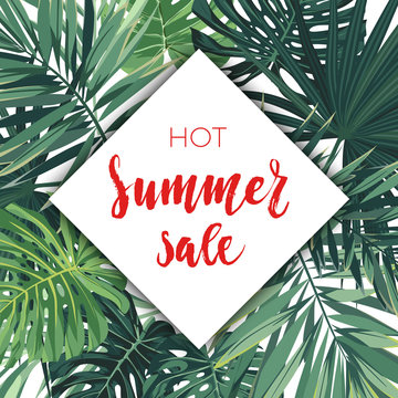 Green summer tropical background with exotic palm leaves and plants. Vector floral sale template.