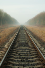 Fototapeta na wymiar Railways at foggy weather morning. Railway in the autumn