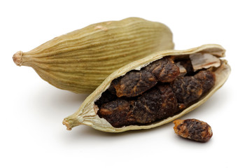Cardamom