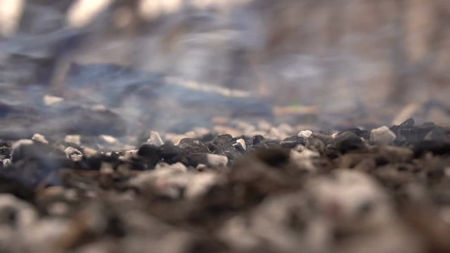Smoldering remains from the campfire. Slow motion