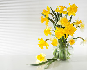 Beautiful flowers daffodils yellow and white on the table in the vase light from the window through the blinds gradation color shadow on the wall