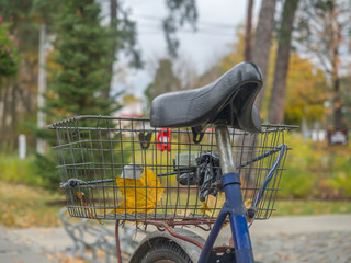Bike seat and a metal shopping cart on a rusty bike trunk