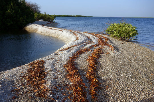 Islands made out of seashells, Sine Saloum Delta, Senegal