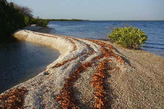 Islands Made Out Of Seashells, Sine Saloum Delta, Senegal