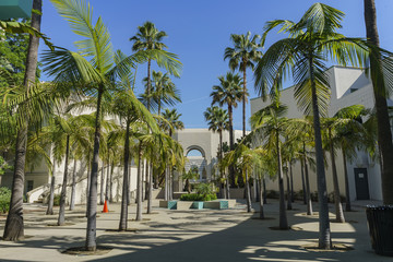 Fototapeta na wymiar Beautiful scene around Beverly Hills city hall