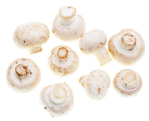 White mushrooms champignons