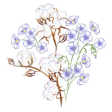 Cotton and flax. Hand drawn vector brush illustration of flax flowers and cotton branch with seed bolls.
