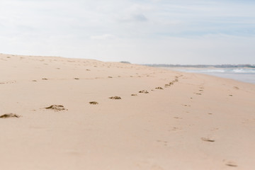Fußabdrücke im Sand am Meer