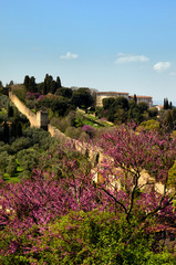 Fototapeta na wymiar Beautiful view from Piazzale Michelangelo in Florence with flowering trees