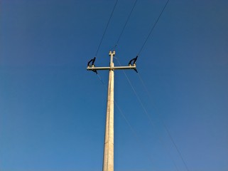 Energy Pole Bend