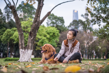 Fototapeta premium Girl and Golden Retriever, outdoors on the grass