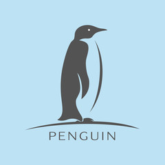 Obraz premium Penguin icon vector, flat sign