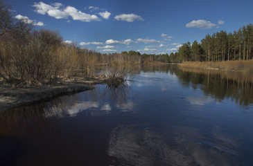 Fototapeta na wymiar Flooding of the River in the Spring