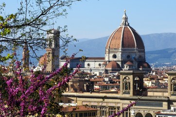 Beautiful view of Basilica di Santa Maria del Fiore Cathedral in Florence in Tuscany, Italy with flowering tree