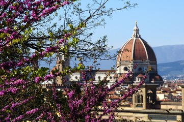 Fototapeta premium Beautiful view of Basilica di Santa Maria del Fiore Cathedral in Florence in Tuscany, Italy with flowering tree