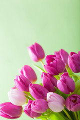 Obraz premium beautiful purple tulip flowers background