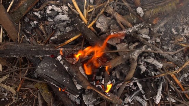 Burning dry branches and firewood. Slow shooting of fire