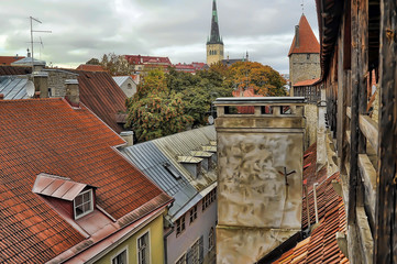 Red roofs of Tallinn. Estonia