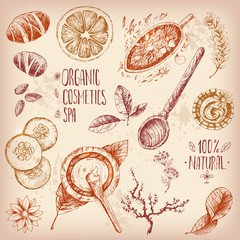 Hand drawn vector set, organic cosmetics, spa. Natural herbal pr