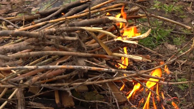 Burning dry branches and firewood. Slow shooting of fire