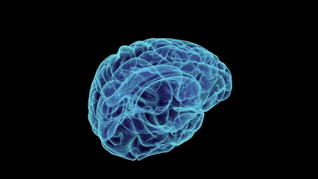 Rotating X Ray human brain. 3d sphere seamless loop on black background. Medical science concept.