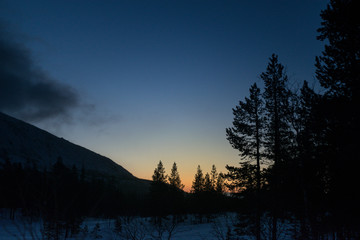 Morning in Russian Lapland, Kola Peninsula