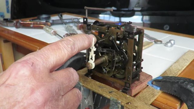 watchmaker repairs Cuckoo Clock