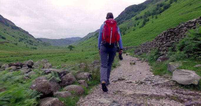 LAKE DISTRICT, ENGLAND, UK - JUNE 01, 2016: A hiker and their dog walking along Langstrath Beck, Stonethwaite Fell, in the English Lake District, Cumbria, UK.