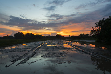 wetland sunset, Asia