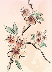 Cherry branch in Japanese style