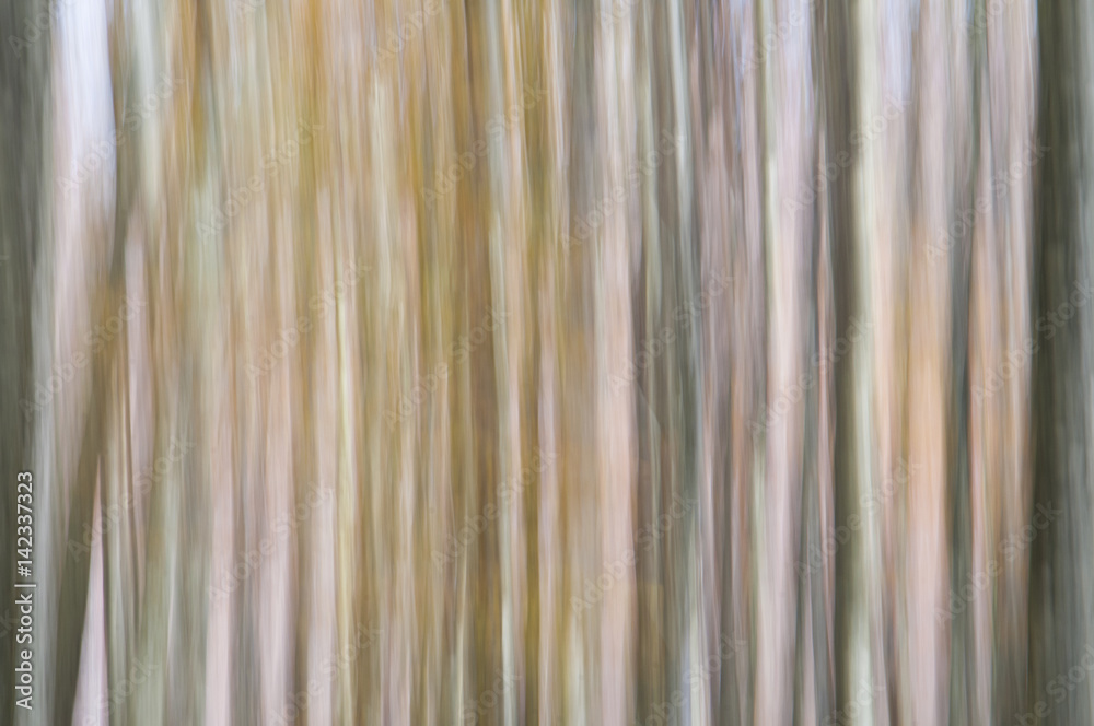 Wall mural abstract forest