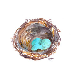 Birds nest with blue eggs. Vintage watercolor