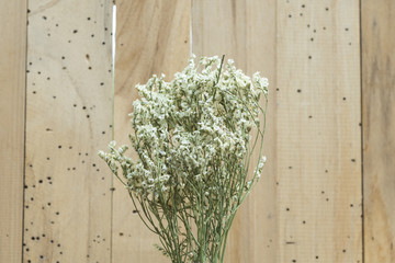 flower with wooden background