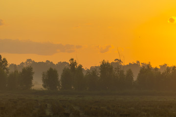 Fototapeta na wymiar Thailand local field with sunset