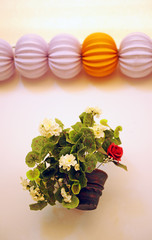 Farolillos y geranios, caseta en la Feria, Andalucía, España