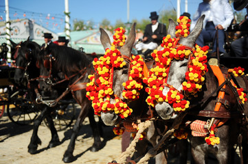 Horses at the Fair, party in Spain