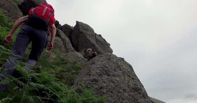 A hiker and their dog walking up Cam Crag Ridge at Stonethwaite Fell in the English Lake District, Cumbria, UK.
