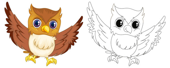 Animal outline for owl