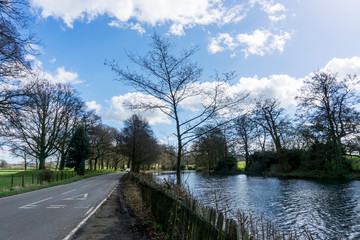 Fototapeta na wymiar LAKE IN THE COUNTRYSIDE WITH BARE TREES IN SPRINGTIME, UK.