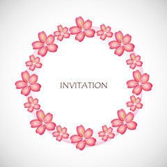 Fototapeta na wymiar invitation kirschblüten kreis