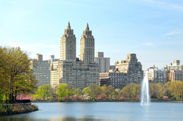 Fototapeta na wymiar view of central park , new yorkcity