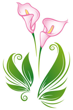 Beautiful pink lilies walltattoo 