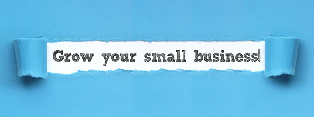 Grow your small business! / paper