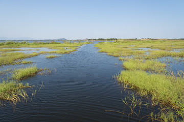 wetlandBeautiful Summer landscape over wetlands and harbor