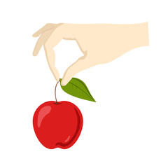 Vector flat illustration of Hand holds red apple with leaf