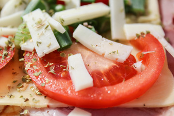 Tomato with cheese ham and green onion