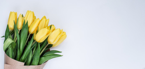 Букет желтых тюльпанов. Белый фон. Вестники разлуки. Цветы.