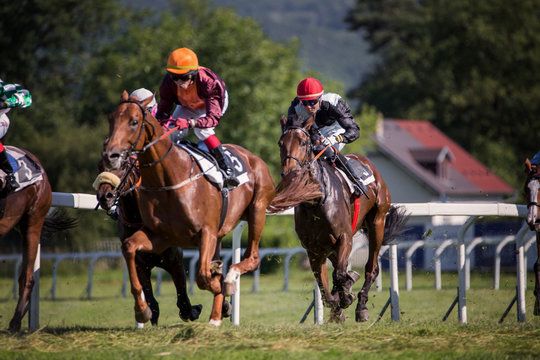 Horseracing in Czechia, Europe. Traditional sport. Jockeys on horses.